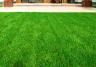 Top dressing a lawn: how and why