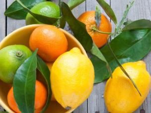 Essential Guide to Growing Citrus