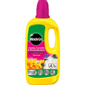 Miracle-Gro® Azalea, Camellia & Rhododendron Concentrated Liquid Plant Food main image