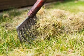Grabienie i wertykulacja trawnika