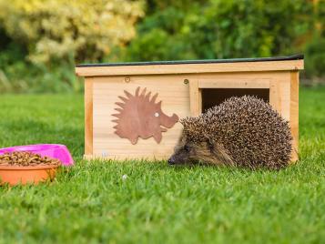 A hedgehog shelter