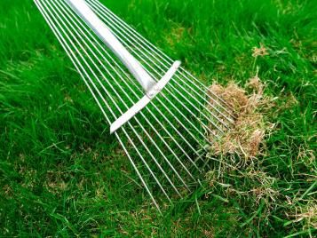 Essential tools for lawn maintenance