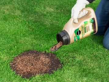 Repairing bare patches in a lawn