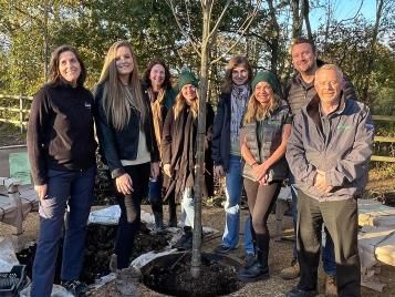 Planting tree at The Nook - Greenfingers charity
