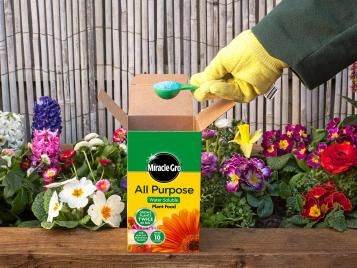  Miracle-Gro Soluble Plant Food in use