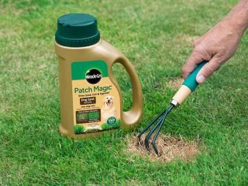 Repairing dog urine burns in a lawn with Miracle-Gro Patch Magic Dog Spot Repair