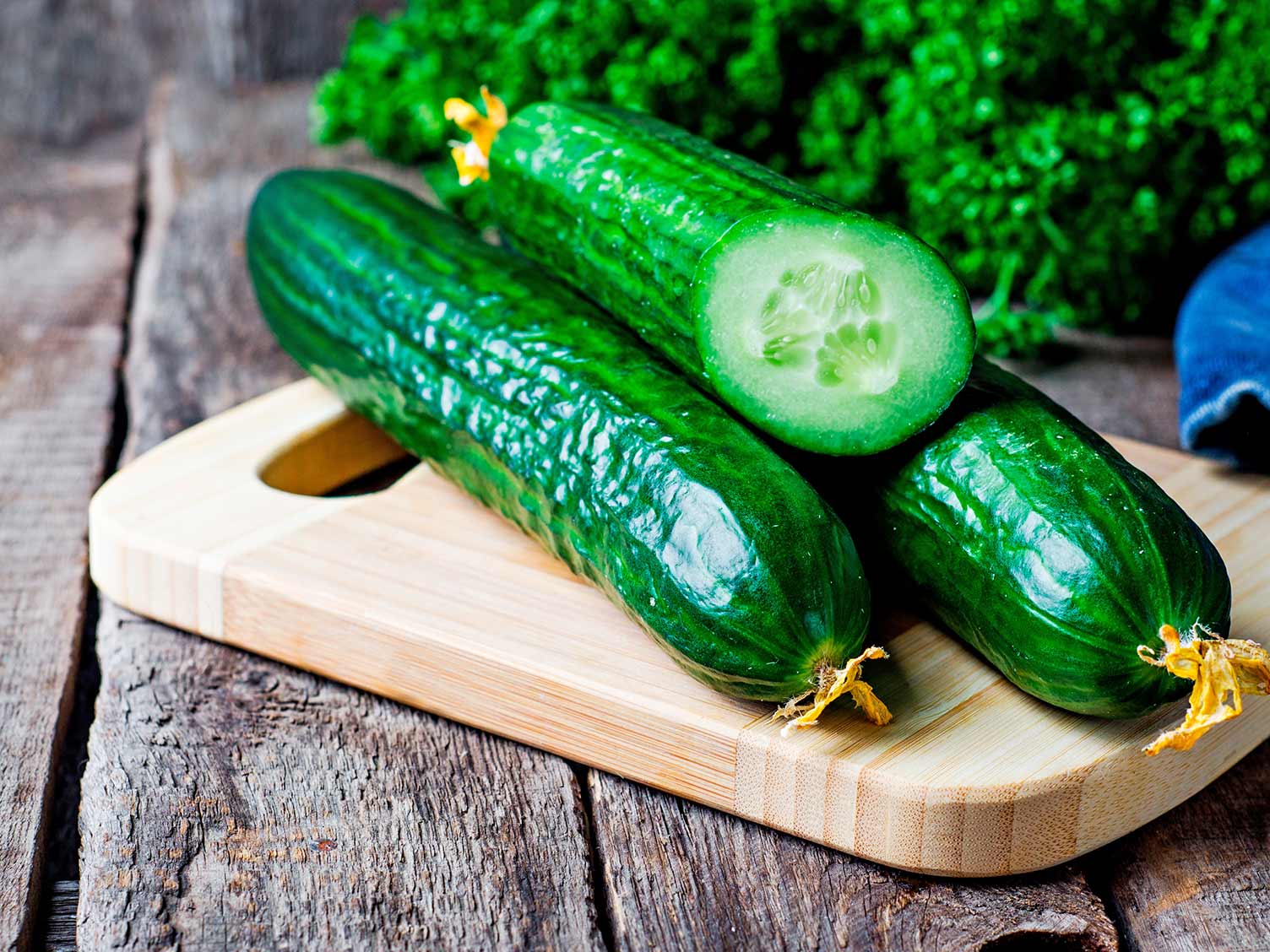 How to grow and care for cucumbers | lovethegarden