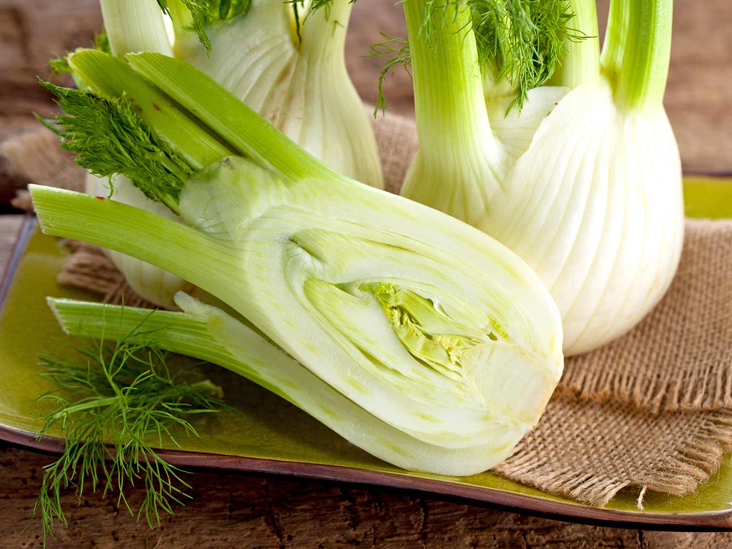 How To Grow And Care For Fennel Lovethegarden