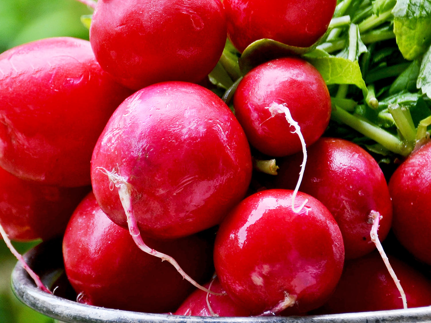 Radishes: The New Kale | Love The Garden