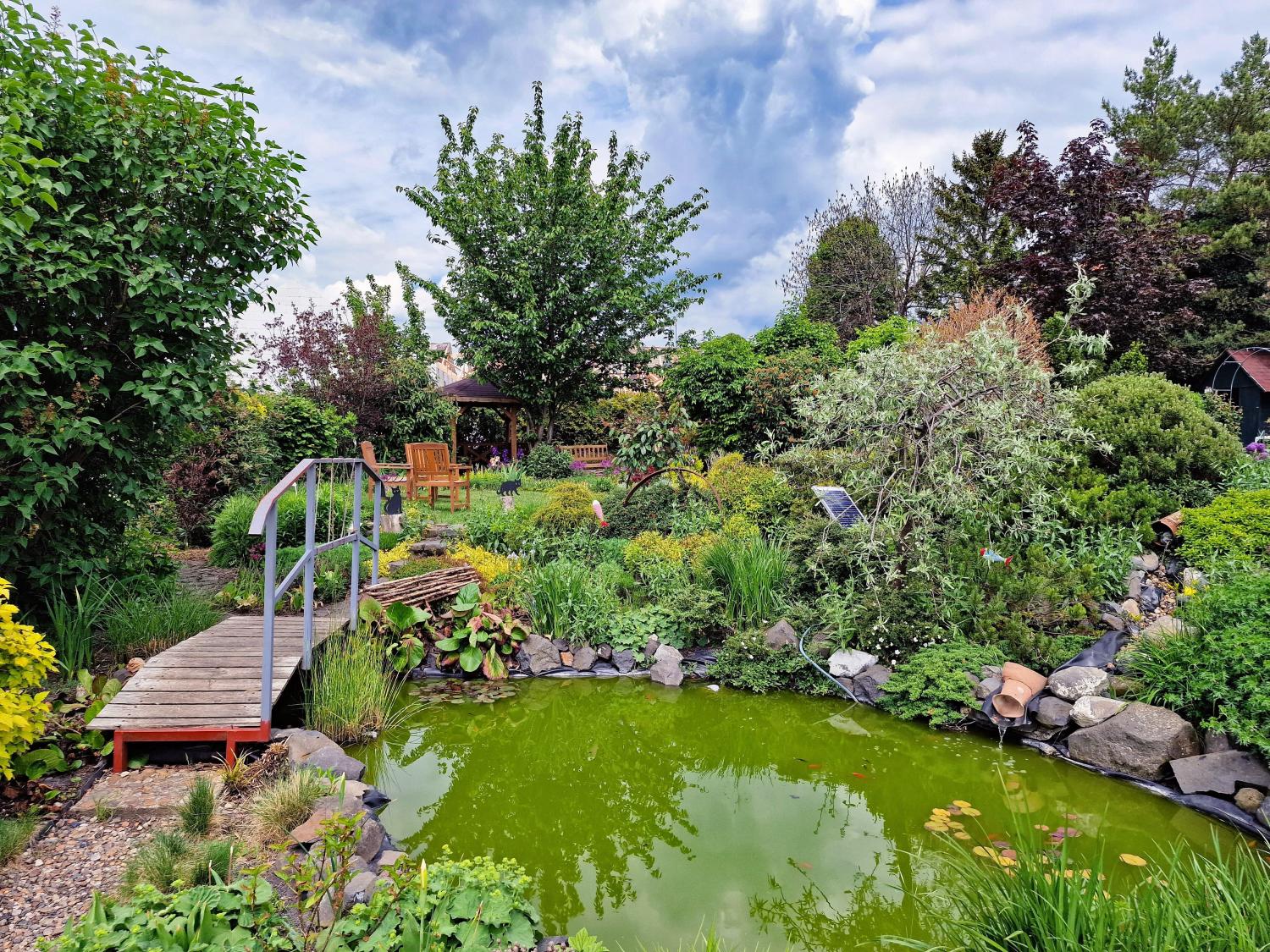 Ob ein kleiner Springbrunnen oder Teich, Wasserelemente im Garten verleihen einen besonderen Flair.