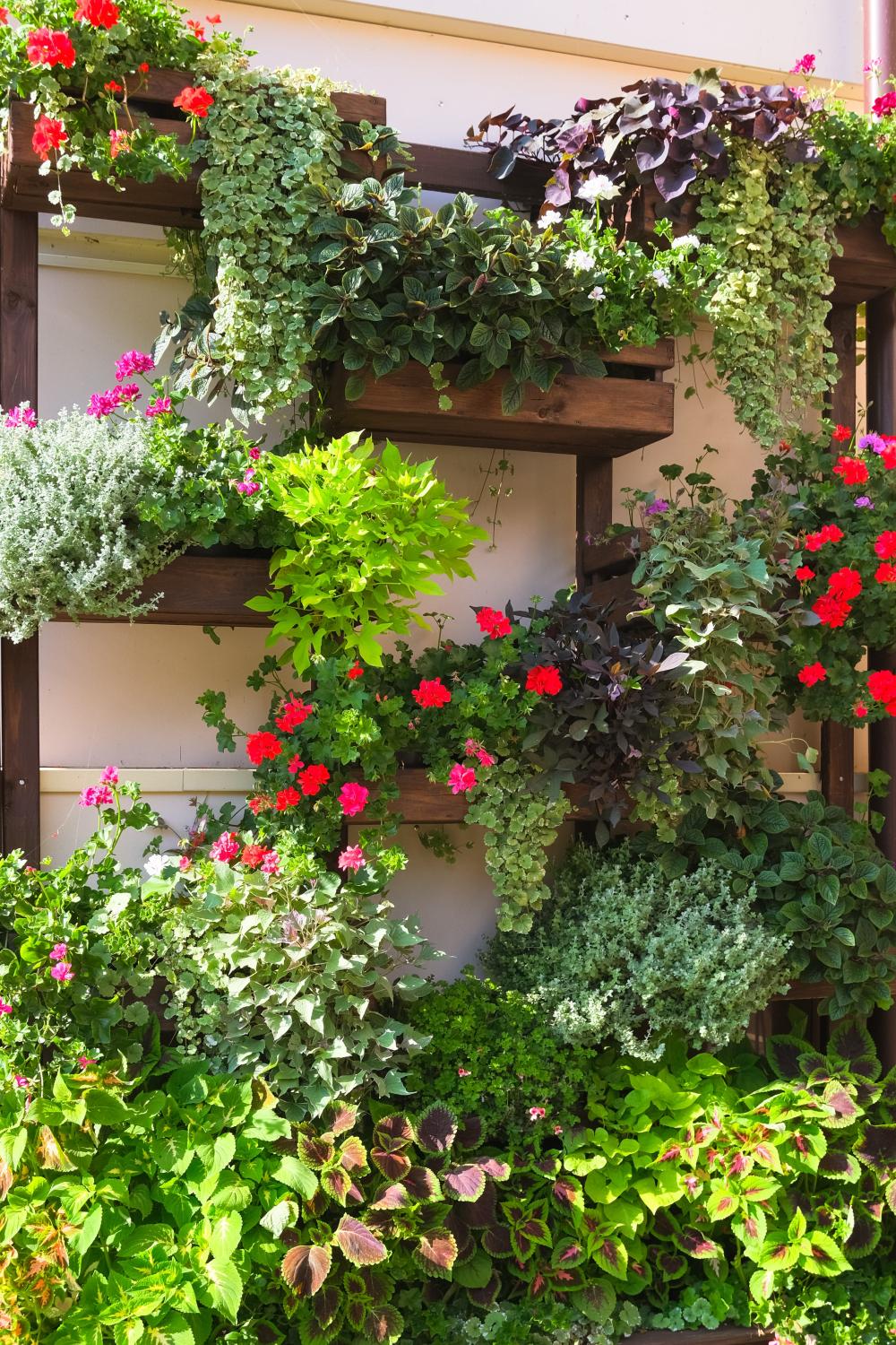 Un jardin vertical de fleurs et d’aromates réalisé avec des bacs et des étagères en bois 