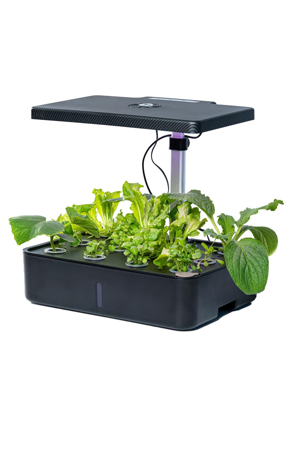 Un kit potager d’intérieur avec une lampe LED et 8 lingots de terreau avec une variété de plantes vertes 