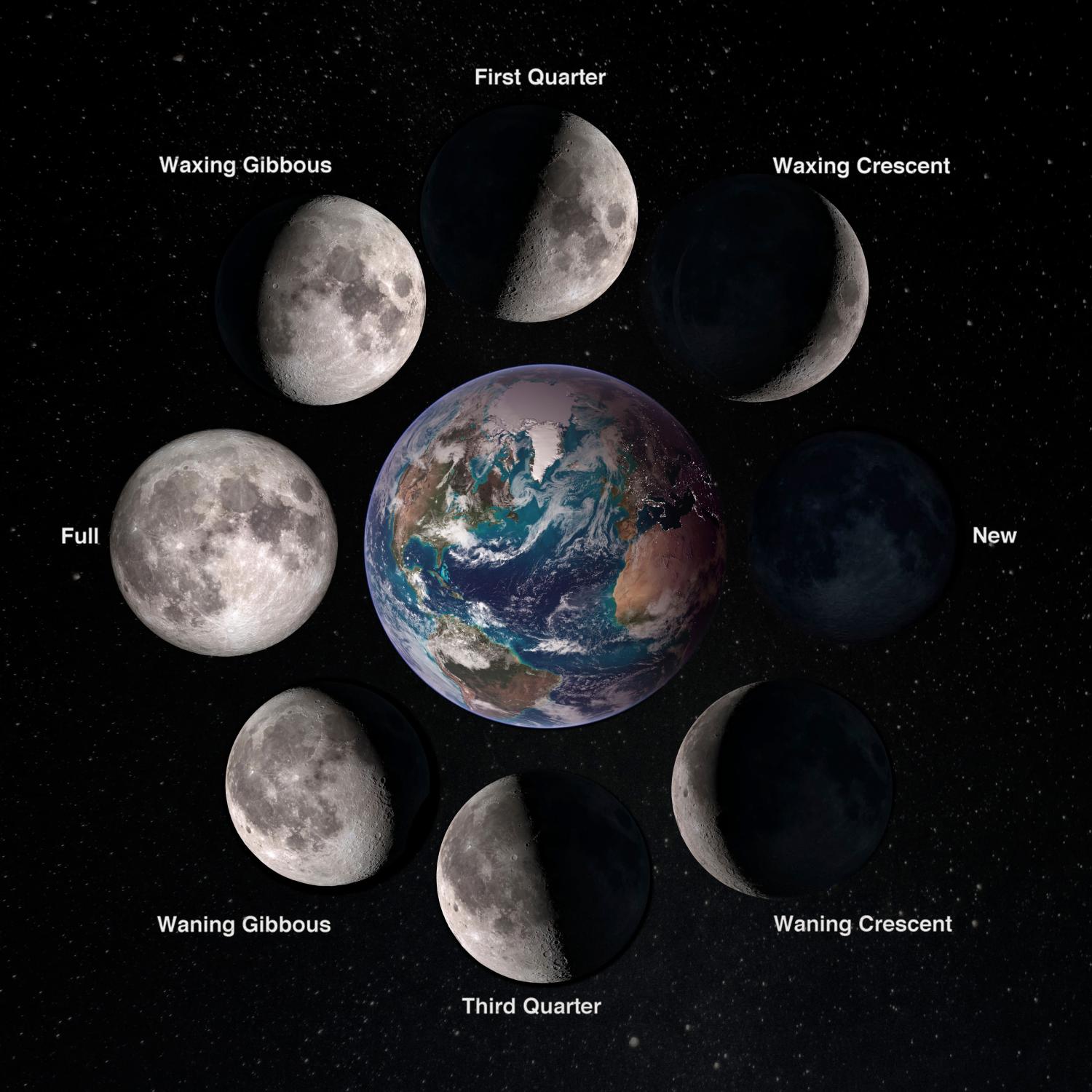 Les 8 phases lunaires, la Lune en révolution autour de la Terre