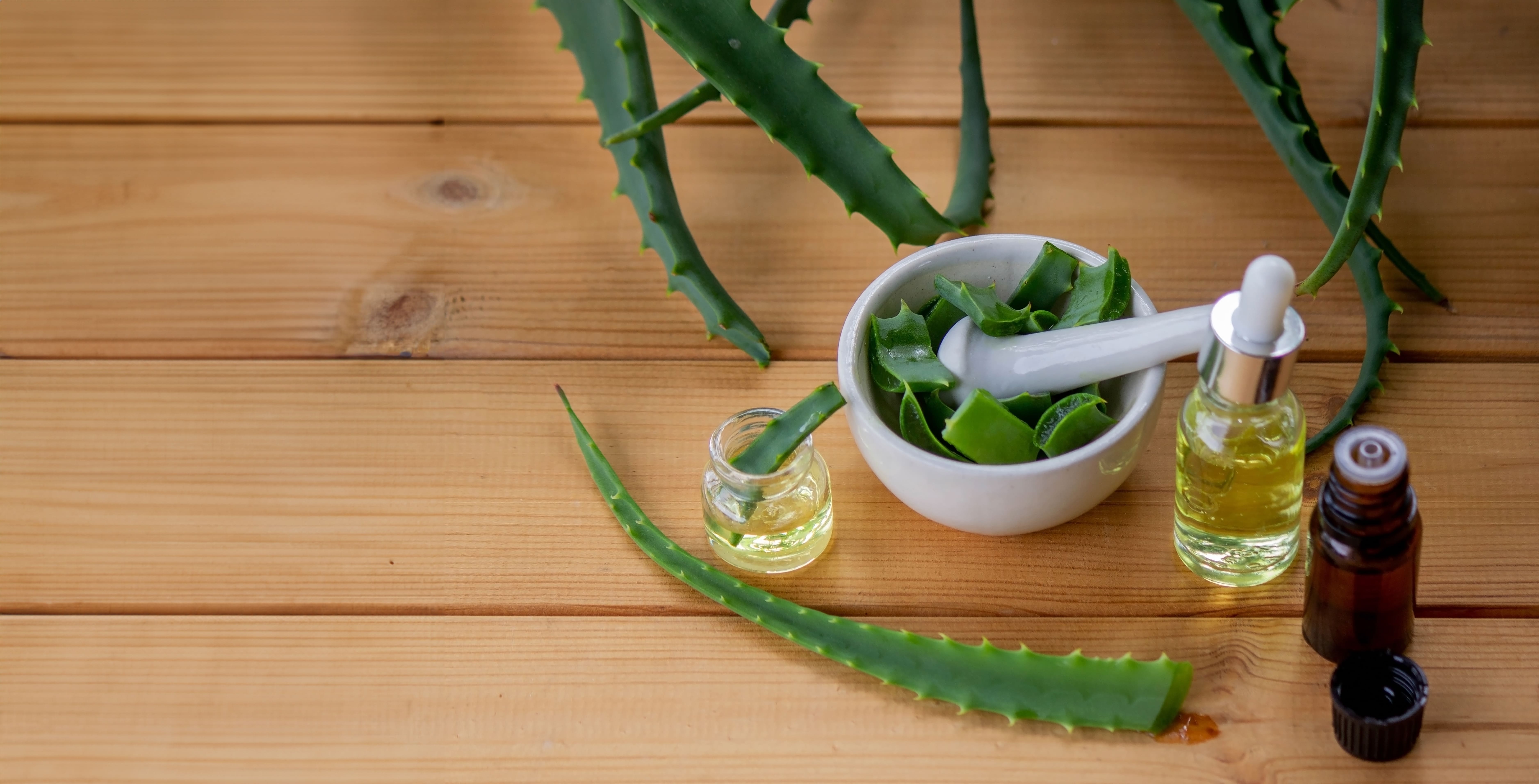 aloe vera récolté sur une table en bois