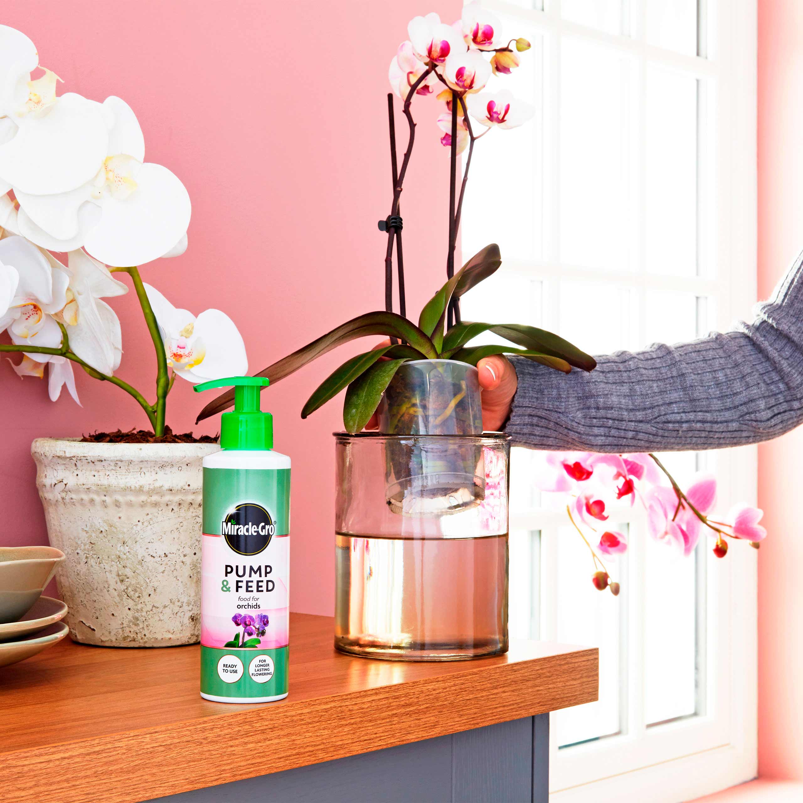 – Miracle-Gro: The Secret To Healthy, Thriving Orchids