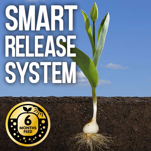Smart release system