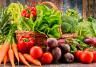 A basket overflowing with freshly picked ripe vegetables