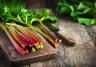 How to grow and care for rhubarb