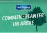 Comment planter un arbre 