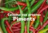 Cultivez vos propres piments