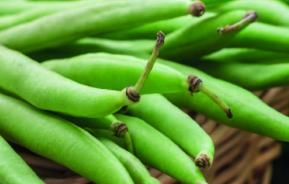 How to Grow French Beans 