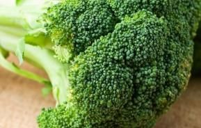 How to grow & care for broccoli