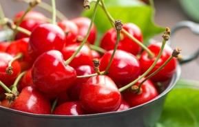 How to grow & care for cherry trees