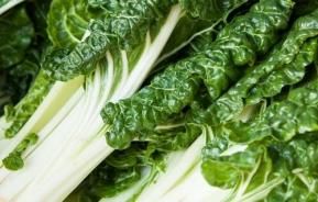 How to grow & care for silverbeet