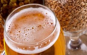 How to make home grown homebrew