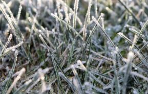 Get your garden ready for winter