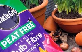 Peat free gardening explained