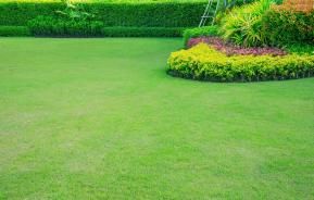 A level green lawn surrounding a flower bed.