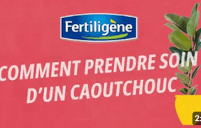 Comment prendre soin d'un caoutchouc