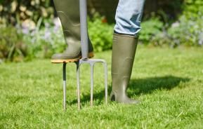 Lawn aeration: how and when to aerate for a healthy lawn