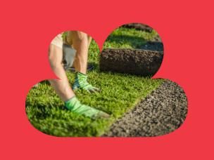 Laying New Lawn
