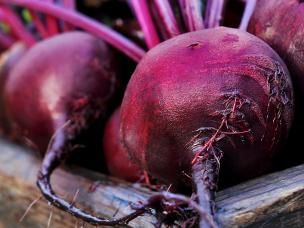 Beetroot (Beta vulgaris)