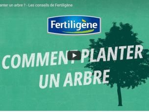 Comment planter un arbre 