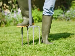 Lawn aeration: how and when to aerate for a healthy lawn
