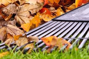 herfst klusjes in de tuin