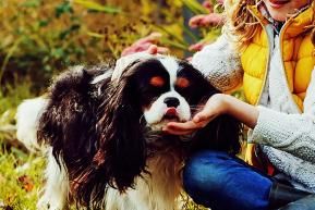 Gardening in November