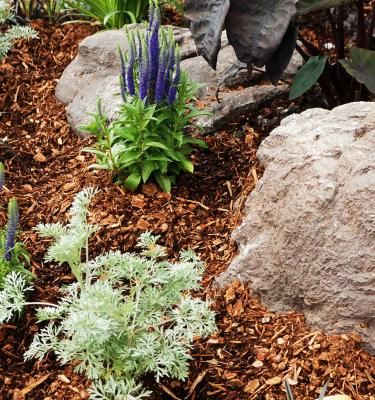 Complete Guide for Using Landscape Wood Chips
