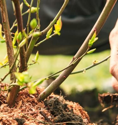 Recycling garden best sale compost bags