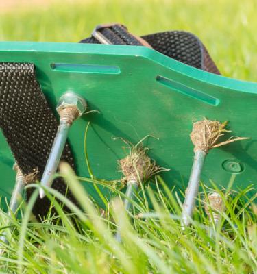 Scarifier jardin deals