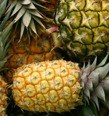 Garden Q&A: How do I know when to harvest pineapple?