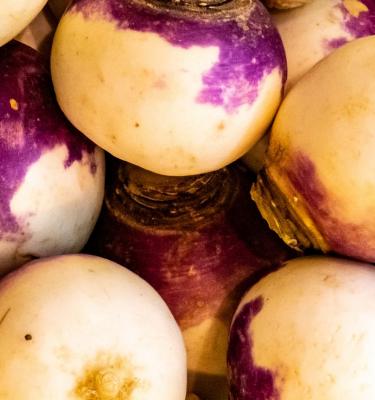 How to grow care for turnip in 5 simple steps Love The Garden