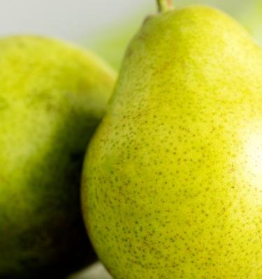 pear tree climate needs