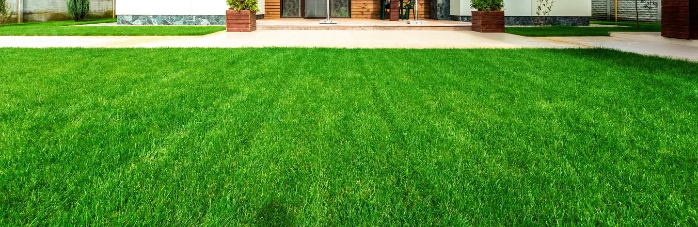 what is the purpose of a grass lawn