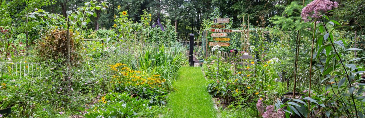 Meer Biodiversiteit Voor Een Gezonde En Natuurlijke Tuin