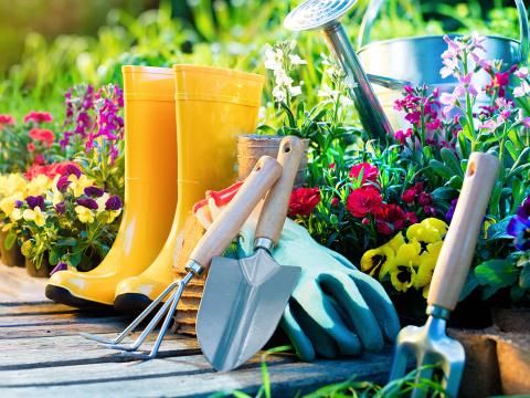 Jardin  Outils de jardinage pour toutes les tâches en extérieur