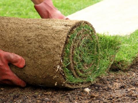 How to store lay turf